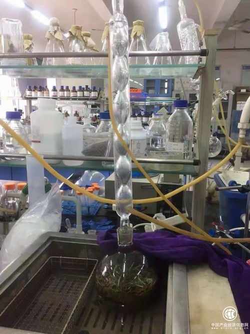 吉林柳河縣 以葡聚糖大米技術開發引領農業升級，推動農民持續增收