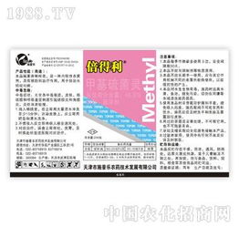 施普樂(lè)速白美齒組 6天連續(xù)使用，科技點(diǎn)亮美白笑容